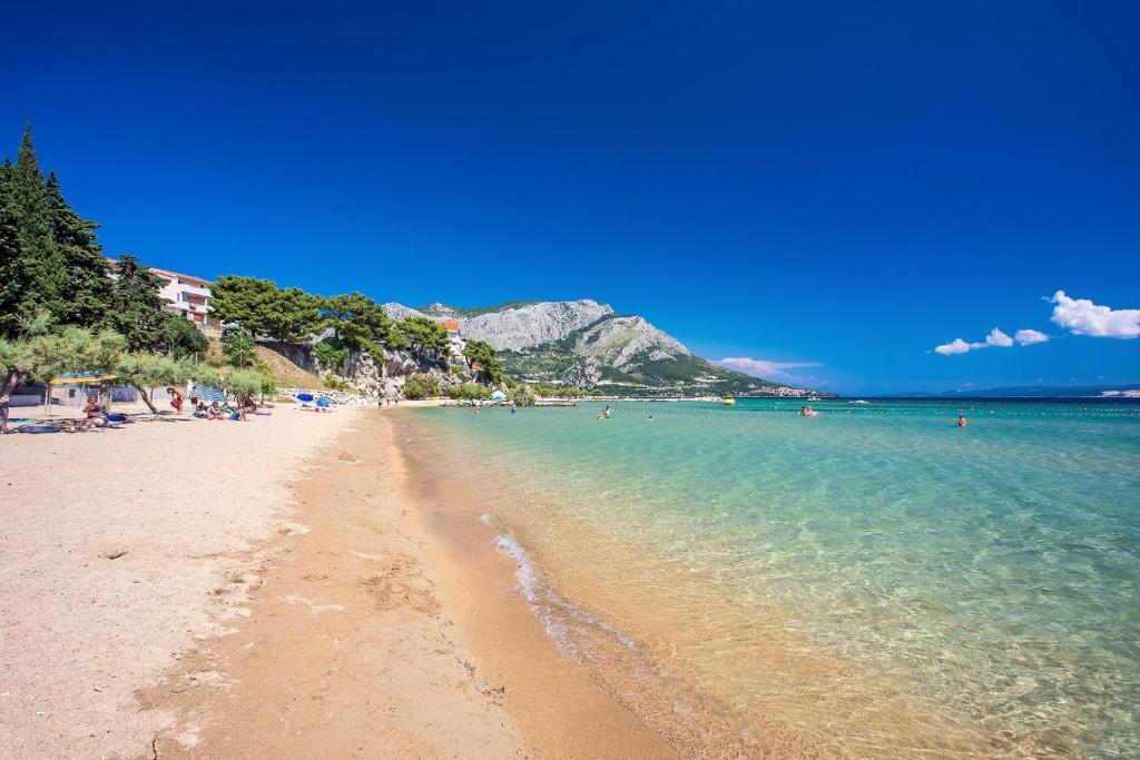 Príroda v okolí apartmánu