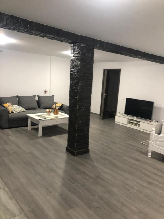 TV a/nebo společenská místnost v ubytování Caraiman House