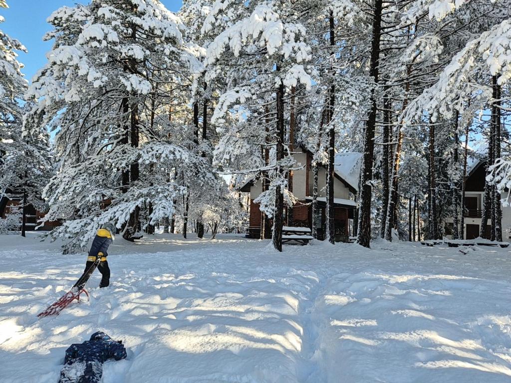 una persona in piedi nella neve vicino agli alberi di Rustic Home Tara a Kaludjerske Bare