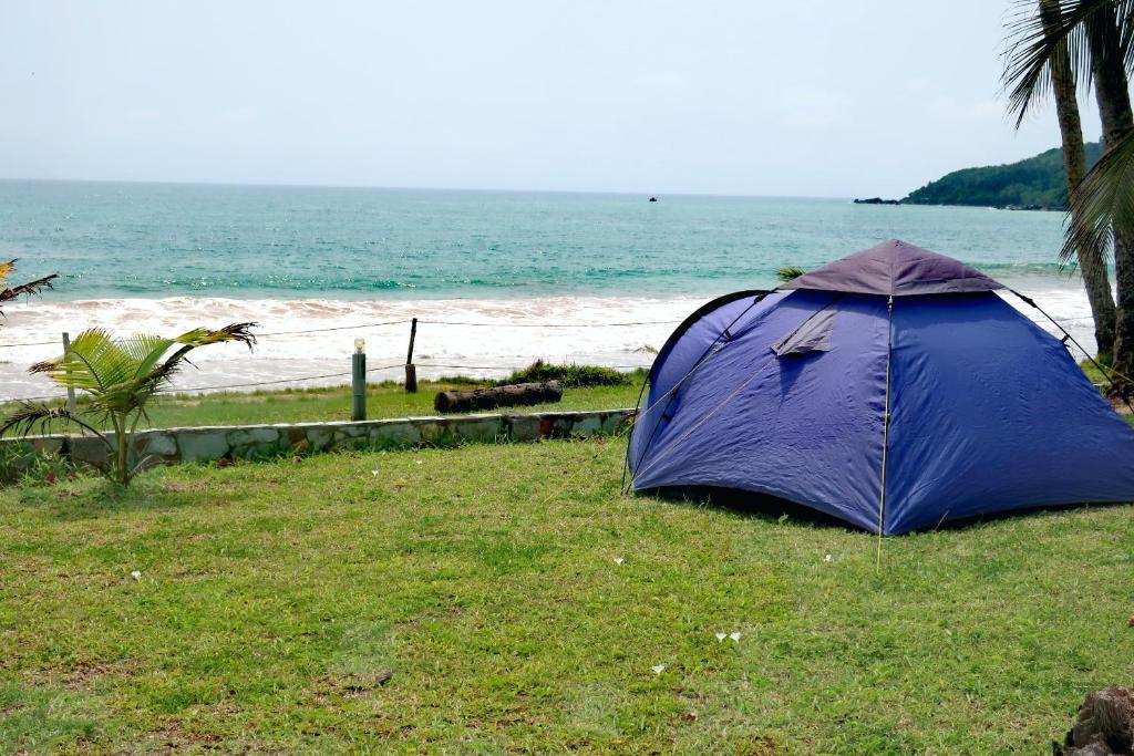 Afro Beach eco Resort Butre - テント