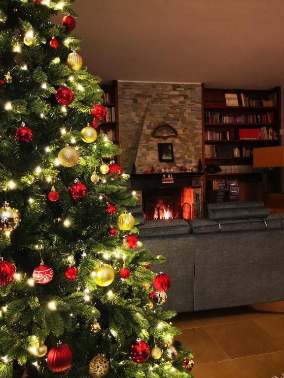 Fotografie z fotogalerie ubytování B&B Villa Argiolas v destinaci Modena