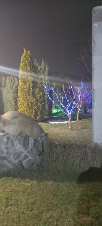 Zahrada ubytování Kalachi guest house Armenia