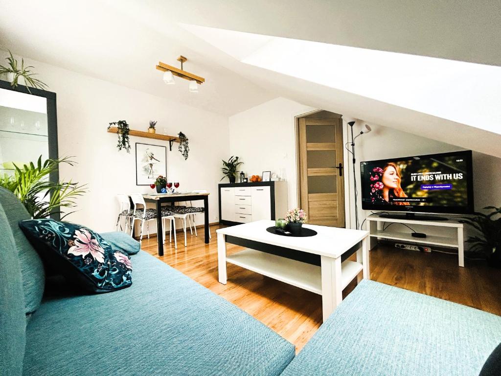 salon z kanapą i telewizorem w obiekcie Apartament Słoneczny 1 w mieście Opole