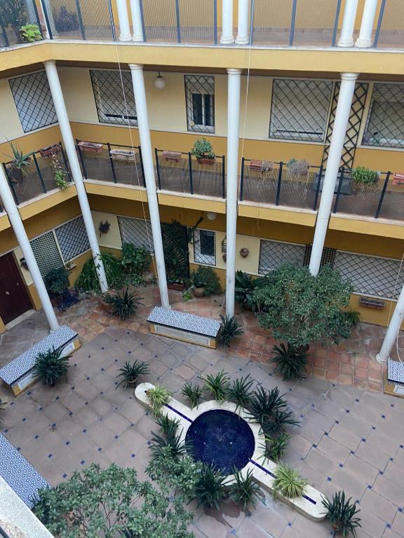 Comfortable and Cozy apartment in the center of Seville
