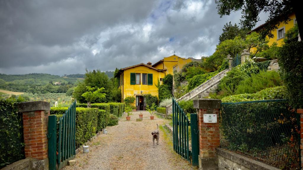 a dog walking down a dirt road in front of a yellow house at Agriturismo Villa Di Campolungo in Fiesole