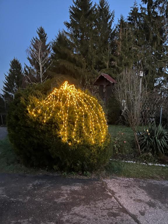 Vonkajšia záhrada v ubytovaní Gästehaus Schmid