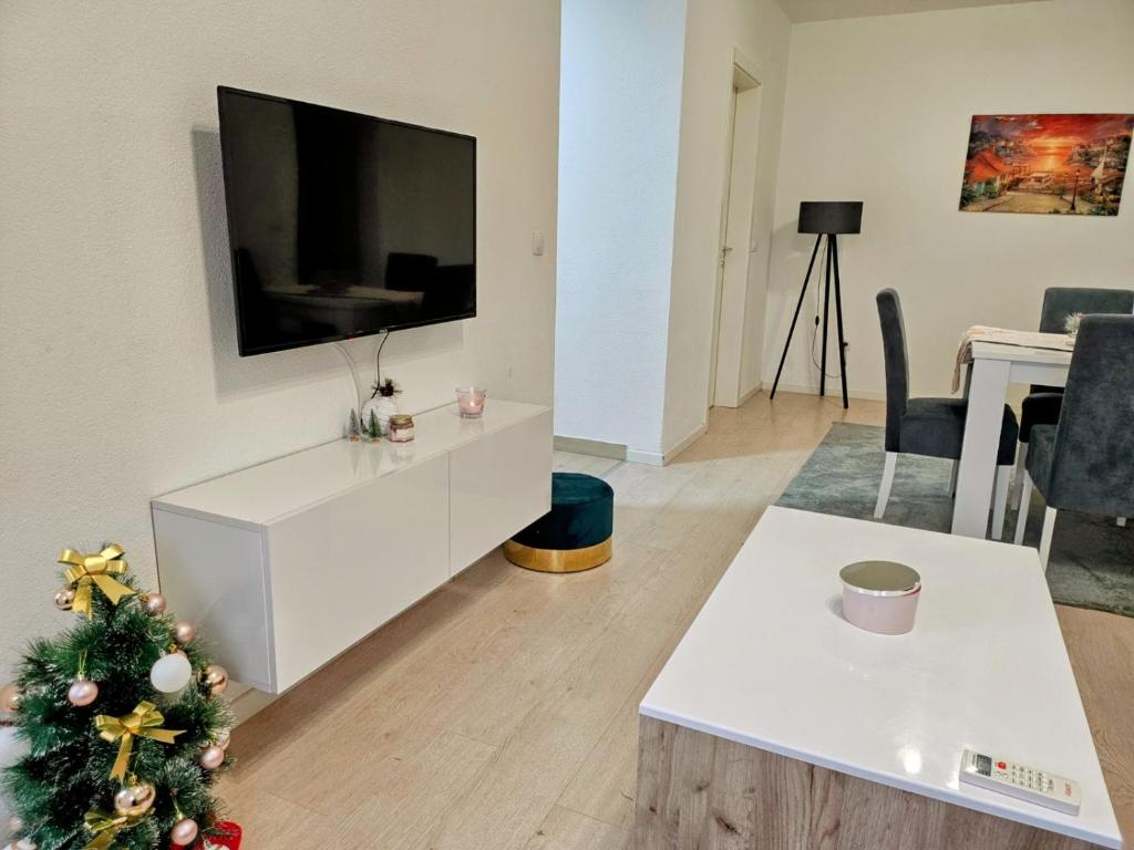 TV a/nebo společenská místnost v ubytování Apartman Aura