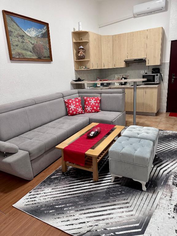 Kuchyň nebo kuchyňský kout v ubytování Apartman RAJAN Vlašić