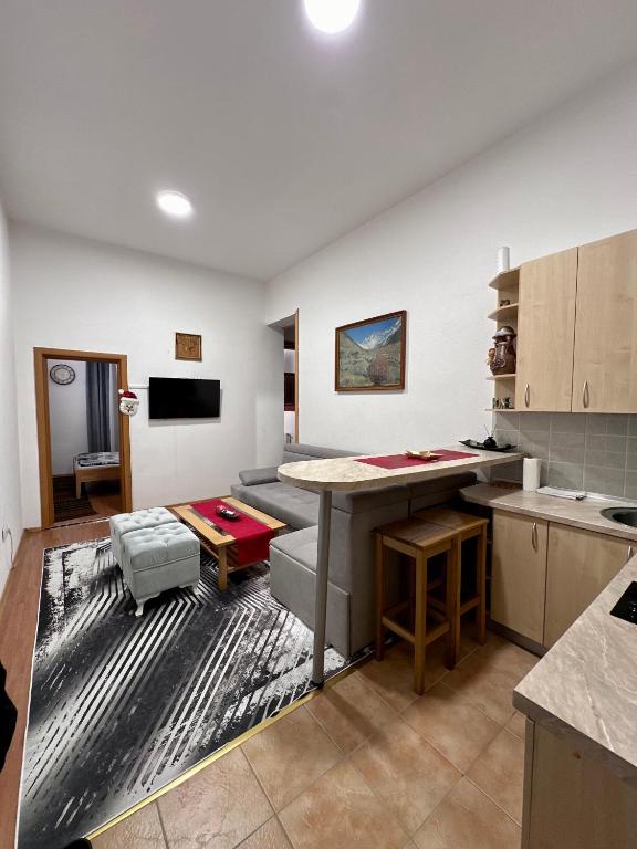 Kuchyň nebo kuchyňský kout v ubytování Apartman RAJAN Vlašić