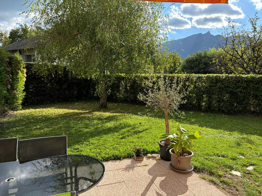 une terrasse avec une table en verre et quelques plantes dans l'établissement Appartement avec jardin à 2 pas du lac, à Aix-les-Bains