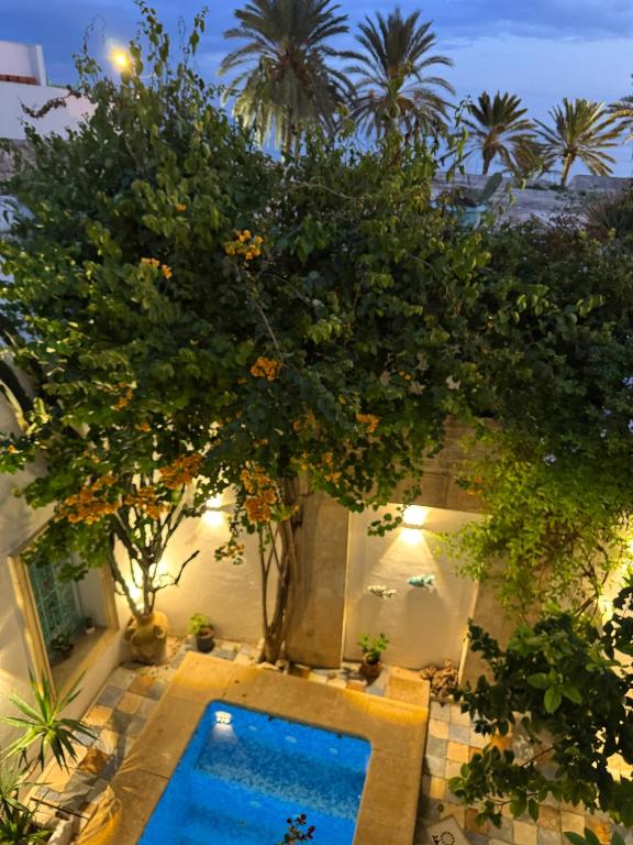 a pool with a tree next to a building at Dar El Mahdia by Daldoul in Mahdia