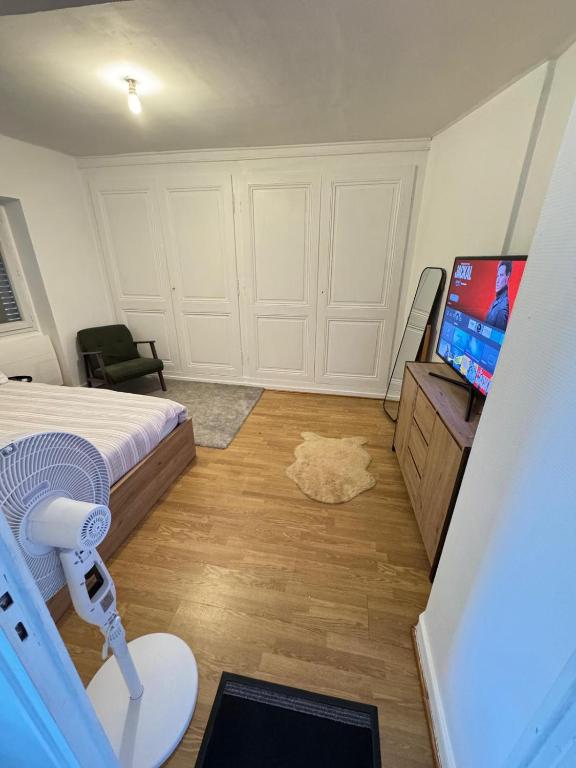 TV a/nebo společenská místnost v ubytování Residence MH Lyon