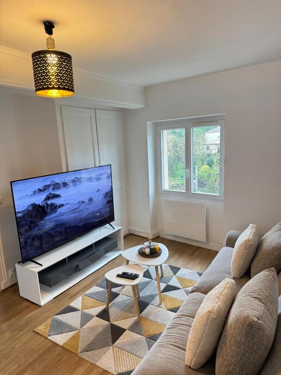 TV a/nebo společenská místnost v ubytování Residence MH Lyon