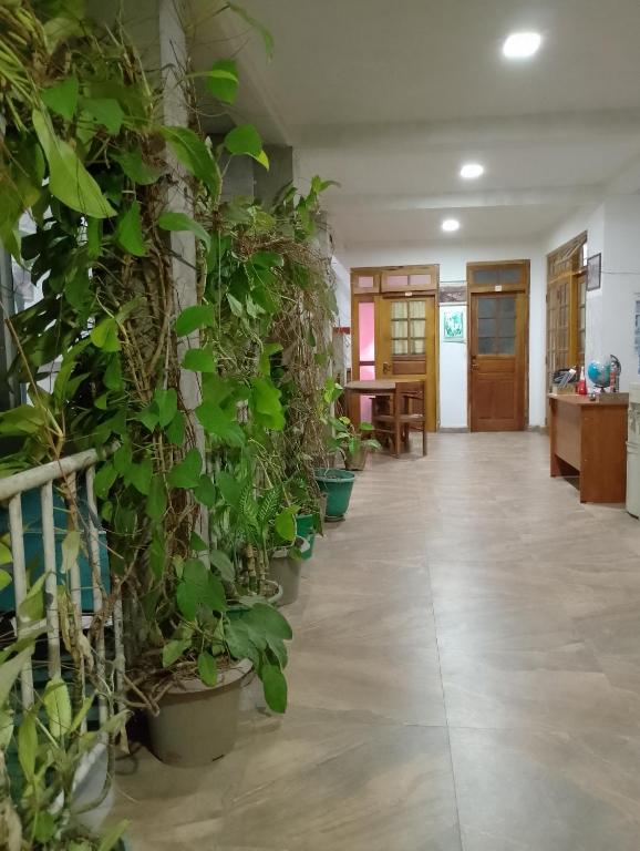 Vstupní hala nebo recepce v ubytování Old Town Hotel