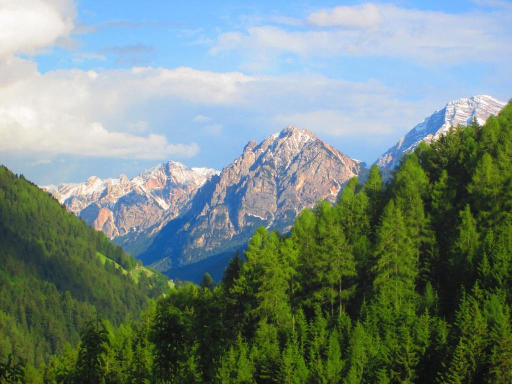 Príroda v okolí apartmánu