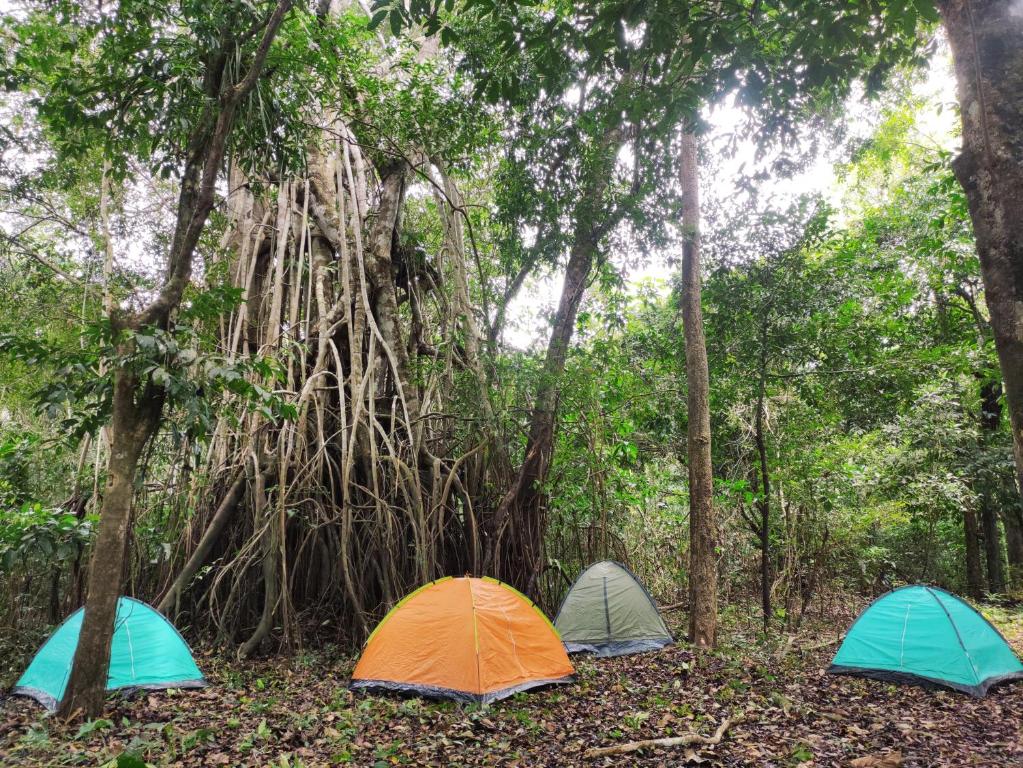 Fotografie z fotogalerie ubytování Amazon Nativo Lodge v destinaci San Pedro