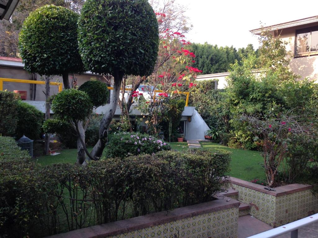 un jardín con árboles y arbustos en un patio en Grupo Kings Suites - Bosque de Duraznos 72, en Ciudad de México