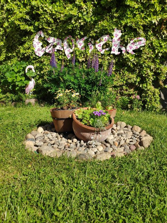 un giardino fiorito con un cartello che dice felice di Capriche Departamentos - Monoambientes a Río Gallegos