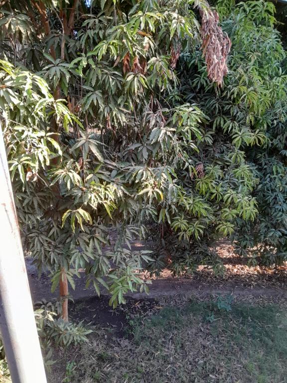 Kashta Nubian Guest Houst - 10