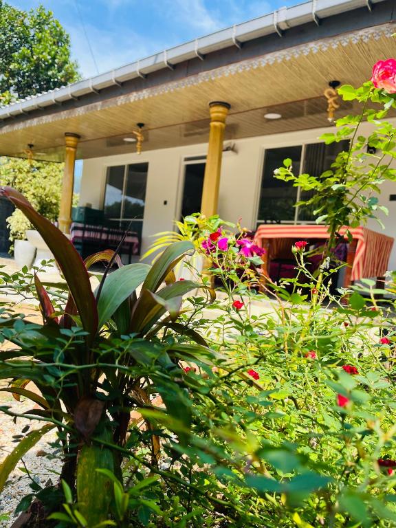 Zahrada ubytování Cinnamon Homestay ella