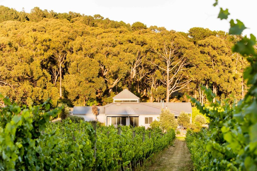 a house in the middle of a vineyard with trees at Polperro Villas in Red Hill