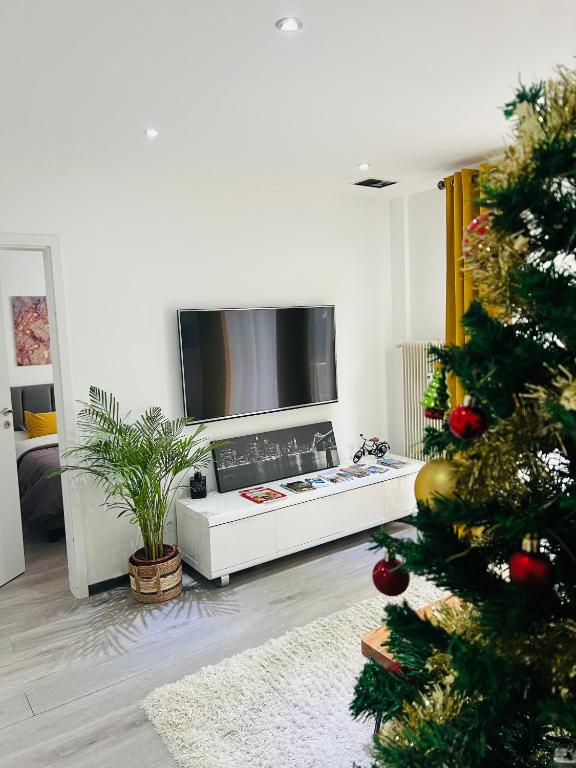 un salon avec un sapin de Noël et une télévision dans l'établissement Superbe appartement lumineux avec parking gratuit, à Wintzenheim