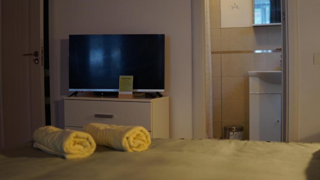 TV a/nebo společenská místnost v ubytování Cabana "Trei Brazi " Retezat