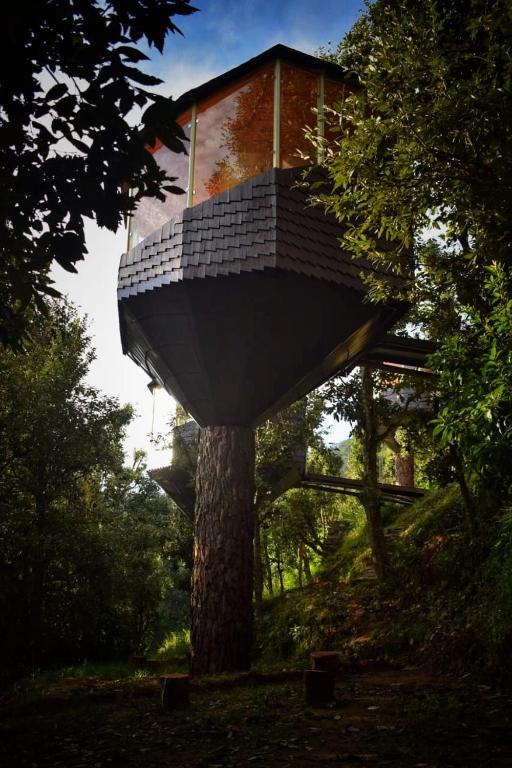 a tree house sitting on top of a tree at Treecasa Resort in Sunāri
