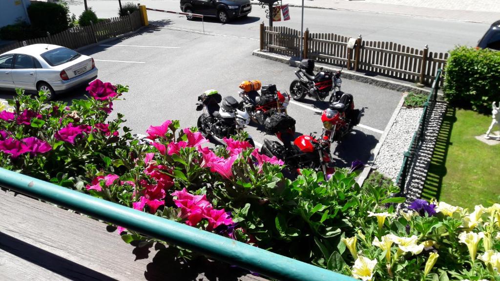 Zahrada ubytování Pension Alpenrose