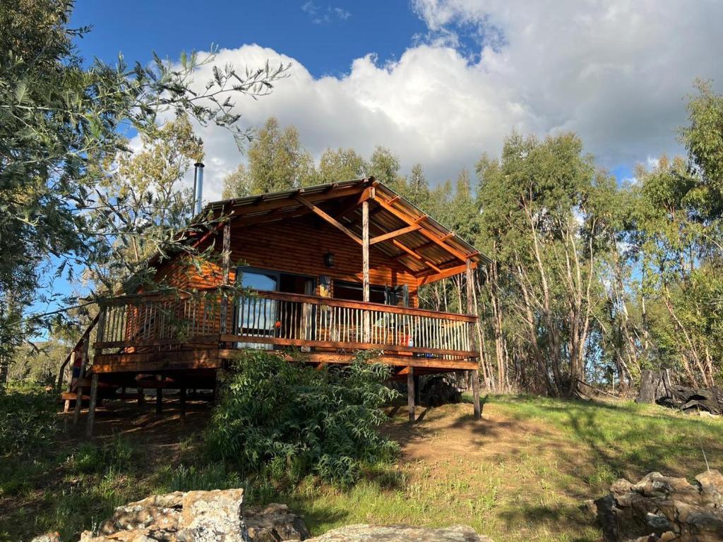 Nature's Loft - Housity
