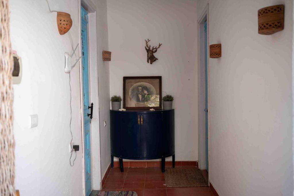 Fotografie z fotogalerie ubytování Elomda Seaview v destinaci Dahab
