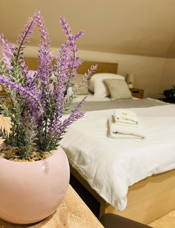 Downtown Apartments with shared kitchen - Resim 9