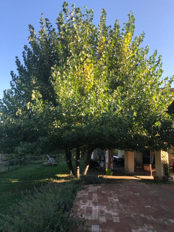 Zahrada ubytování Agriturismo Il Covo del Solengo