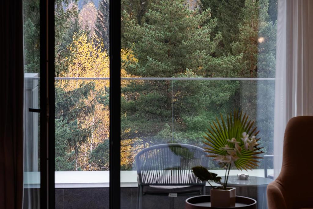 Hotel Simona Halep - Poiana Brasov - Resim 17