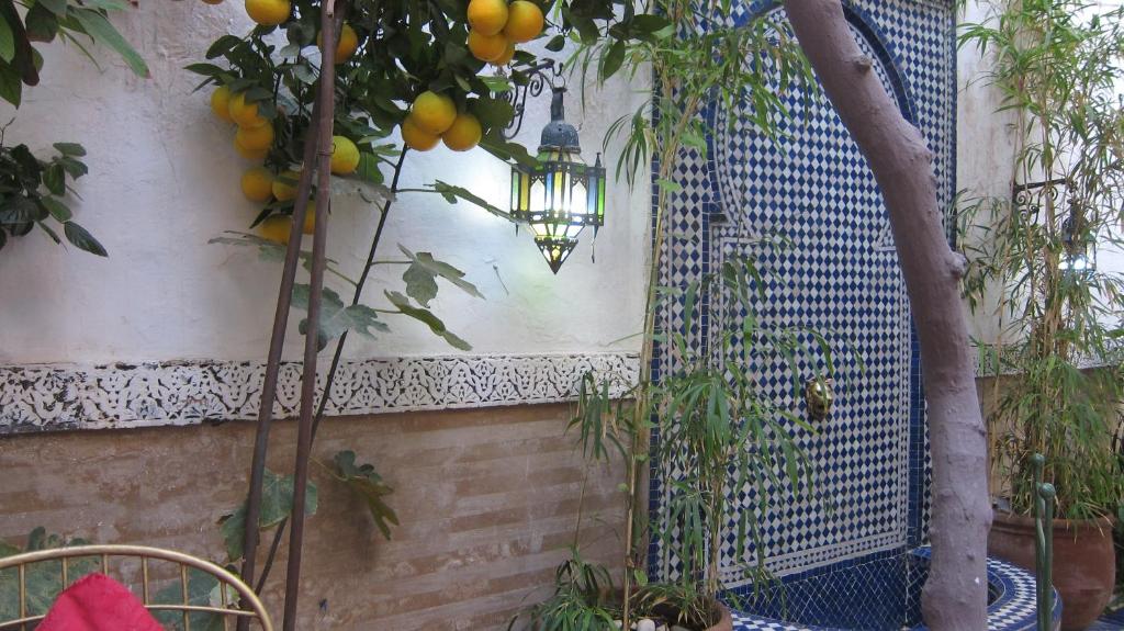 Zahrada ubytování Riad Maizie