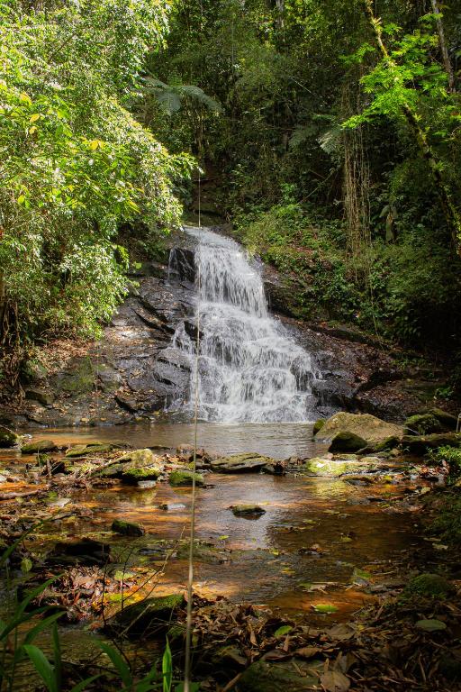a waterfall in the middle of a forest at Hotel Fazenda Pé da Serra in Bom Sucesso