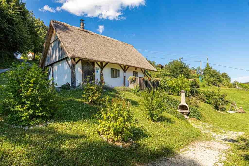 ein kleines weißes Haus mit Grasdach in der Unterkunft Vineyard Cottage Skatlar 2 in Srednje Grčevje