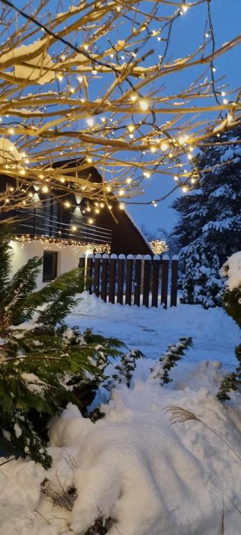a snowy yard with a fence and lights at Apartament Willa Pod Sosnami Zator Przeciszów in Zator