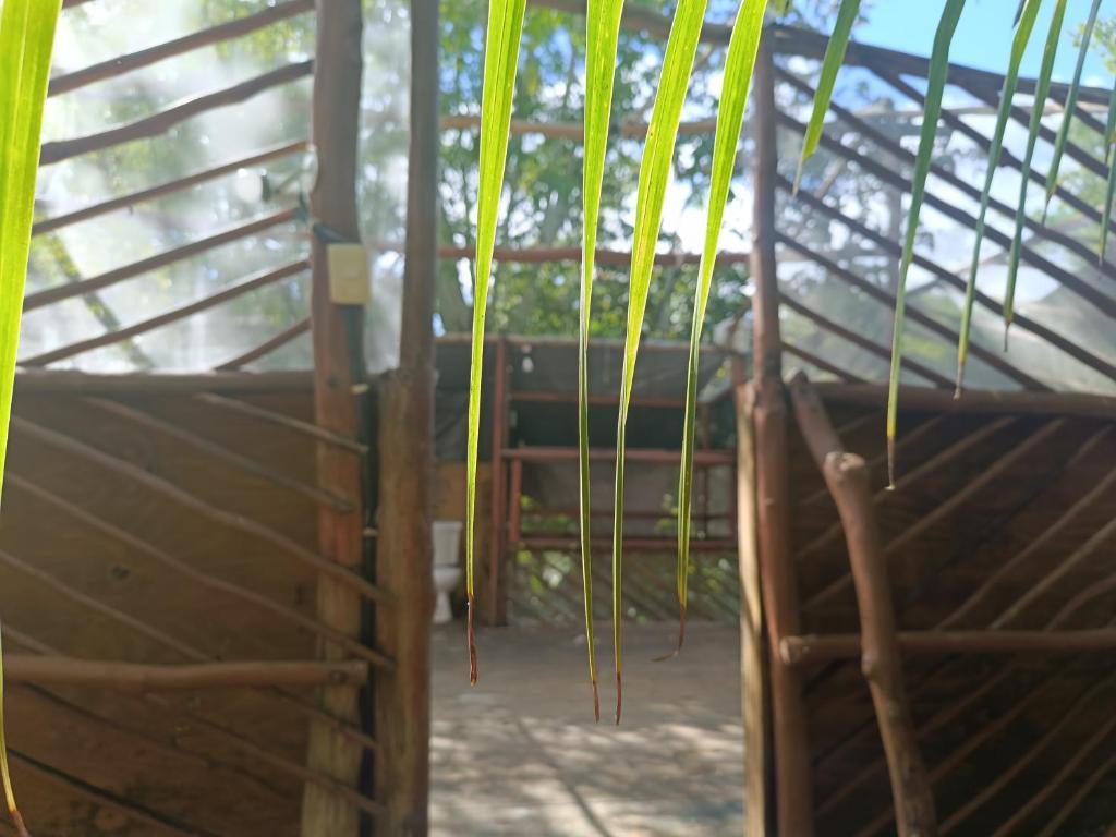 a view of a wooden structure with green and yellow leaves at Space for your tent in Tulum