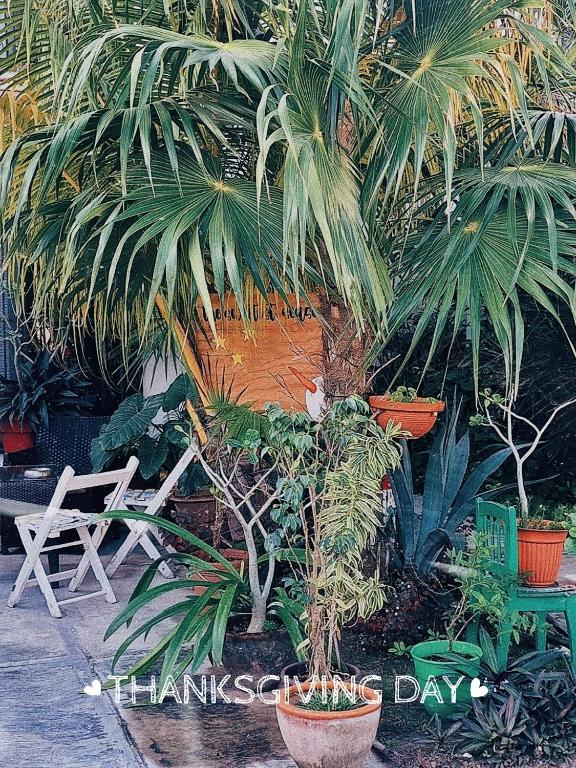 Zahrada ubytování Tu Casa en el Caribe