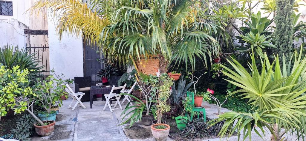 Zahrada ubytování Tu Casa en el Caribe