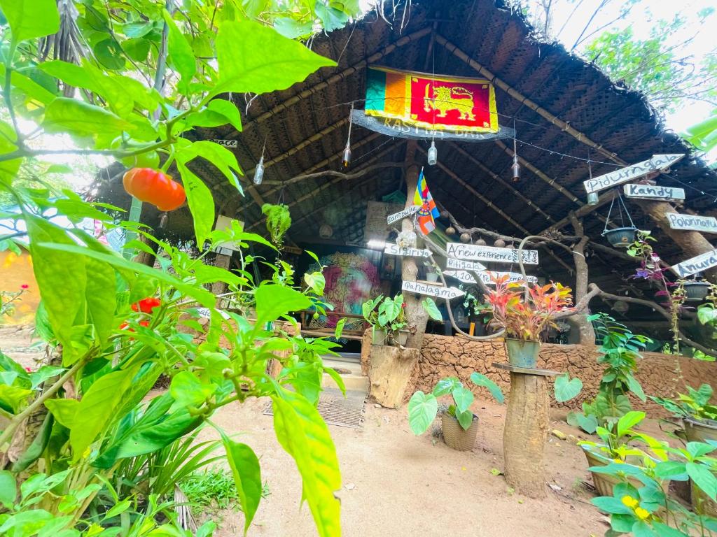 Zahrada ubytování Sigiriya Rastha Hostel
