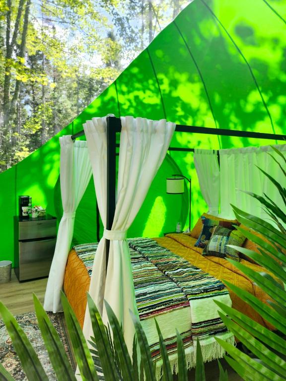 Zahrada ubytování Estrella Glamping