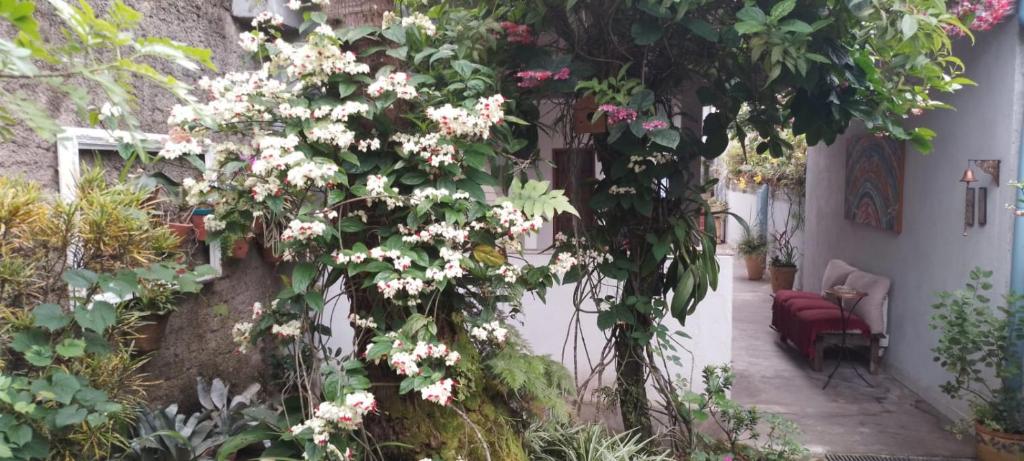 Zahrada ubytování Espaço, natureza e clima familiaar