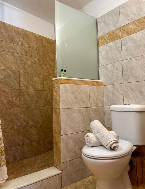 Pansion Zaharoula - 17