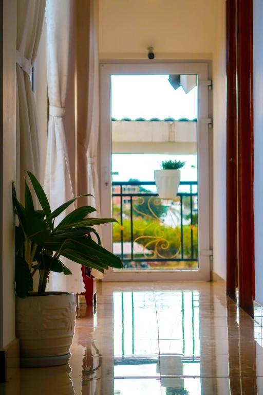 a potted plant sitting in front of a door at KS Thanh Thùy in Xuan An