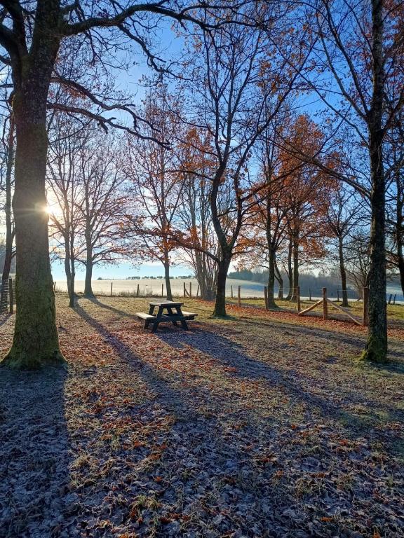 a picnic table in a park with trees and the sunset at Maison des Fées d'Achouffe in Houffalize