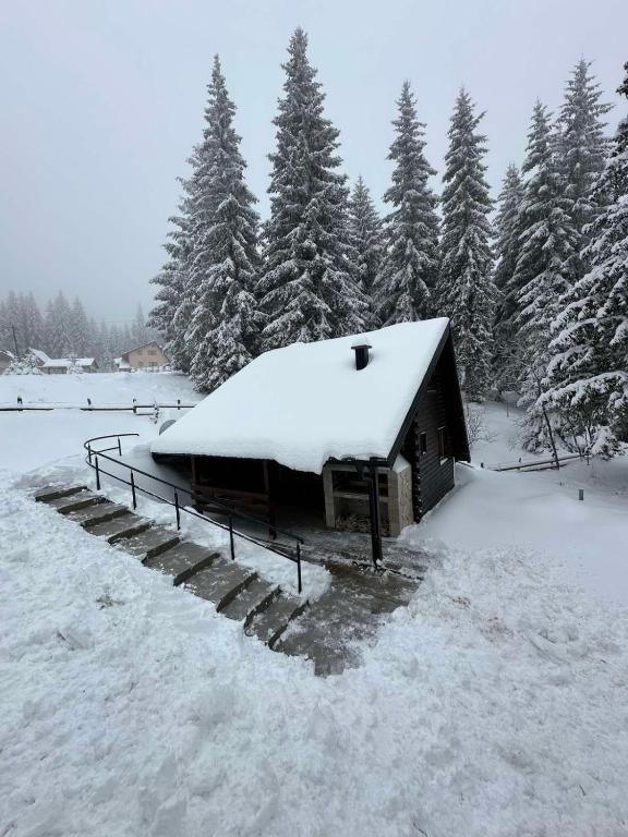 a snow covered cabin in a field with trees at Planinska Vikendica SP Jahorina in Bistrica