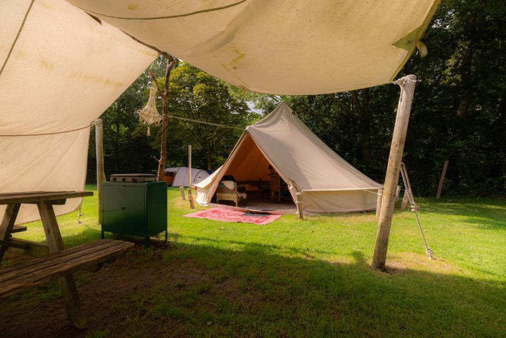 a tent in a field with a bench next to it at Glampingtent Camping Namasté in Berlicum