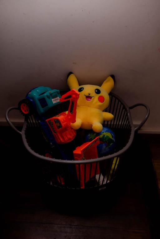 Dutch Wall Fort - 16